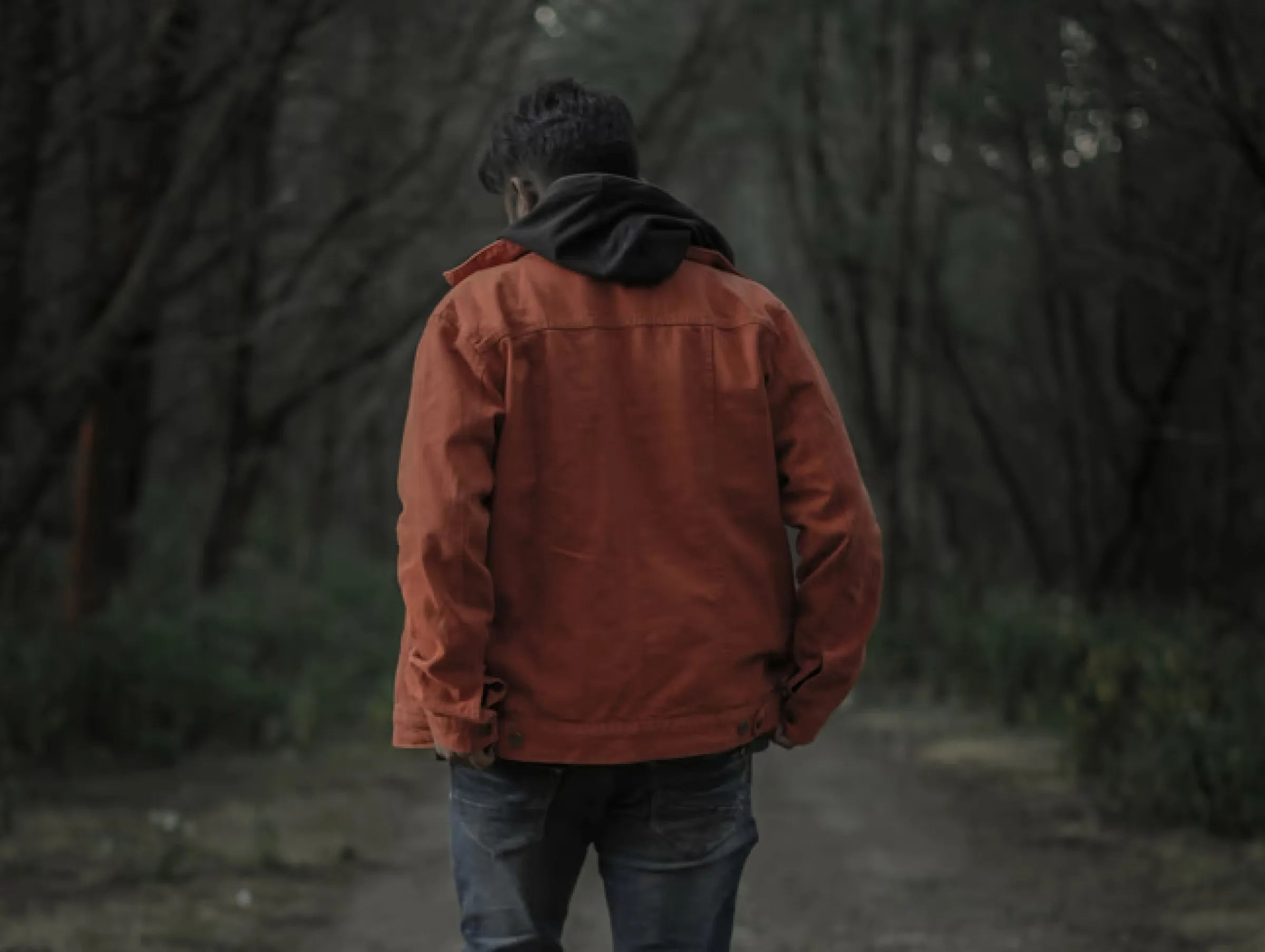 Pranesh - forest walk